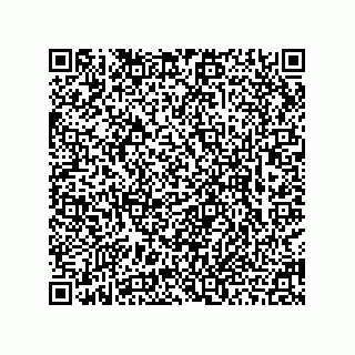 vCard 78463740173
