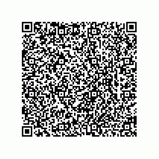 vCard 78463740179