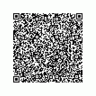 vCard 78463740203