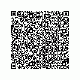vCard 78463740208