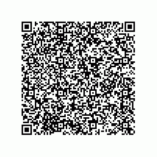 vCard 78463740219