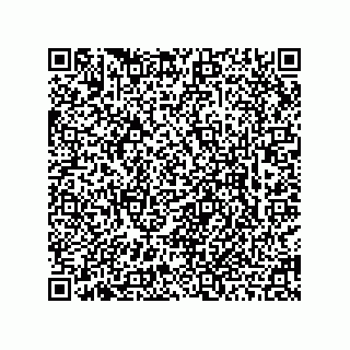 vCard 78463740270