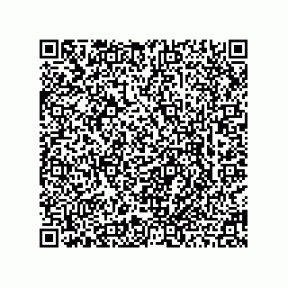 vCard 78463740276