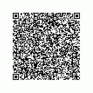 vCard 78463740285