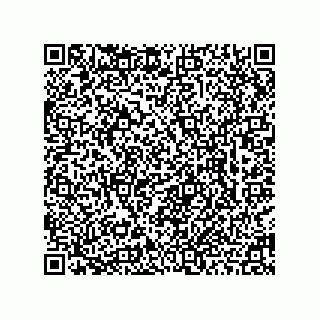 vCard 78463740288