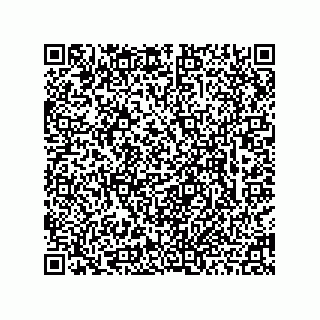 vCard 78463740300