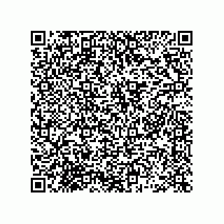 vCard 78463740305