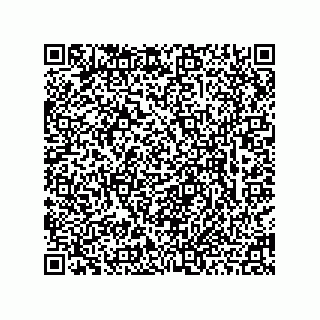 vCard 78463740311