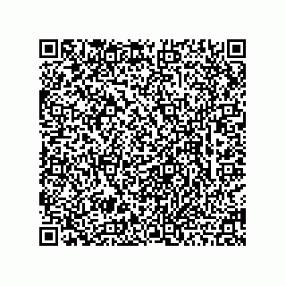 vCard 78463740313