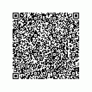 vCard 78463740314