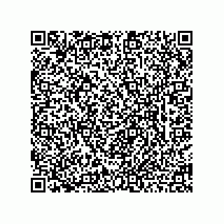 vCard 78463740319