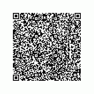 vCard 78463740322