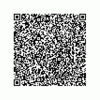 vCard 78463740329