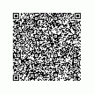 vCard 78463740331