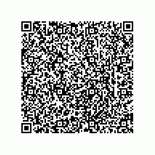 vCard 78463740333