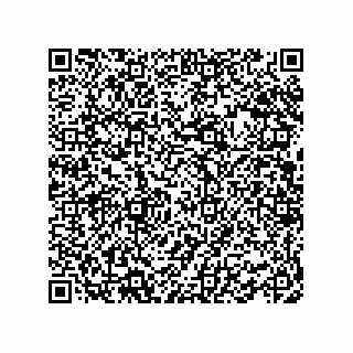 vCard 78463740351