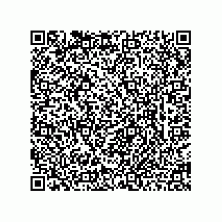 vCard 78463740355