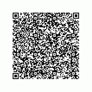 vCard 78463740373