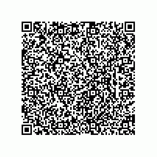 vCard 78463740381
