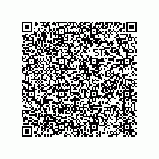 vCard 78463740383