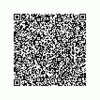 vCard 78463740385