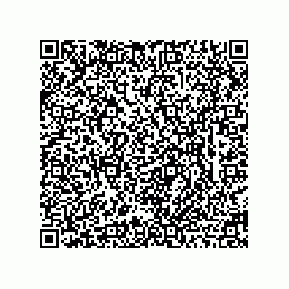 vCard 78463740387
