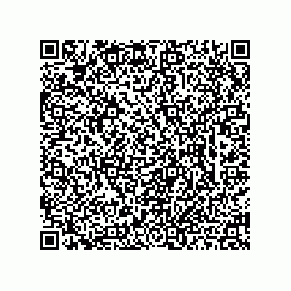 vCard 78463740388