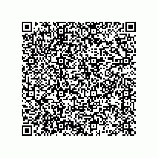 vCard 78463740389