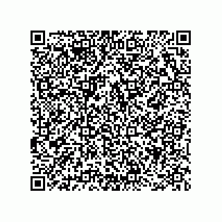 vCard 78463995081