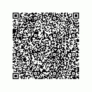 vCard 78464361344