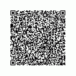 vCard 78464361381
