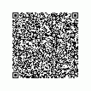 vCard 78464929379