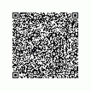 vCard 78466633379