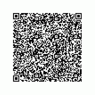 vCard 78466633381