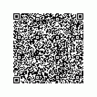 vCard 78466633384