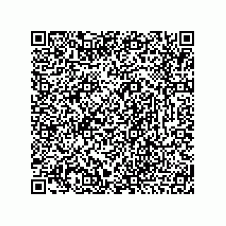 vCard 78466633386