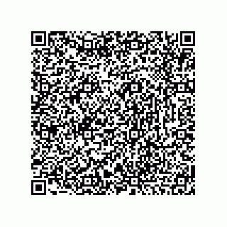 vCard 78466633387