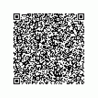 vCard 78466729181