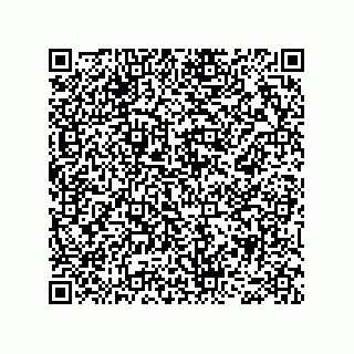 vCard 78466729199
