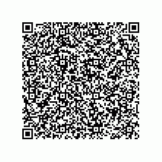 vCard 78466729201