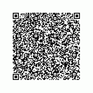 vCard 78466729211