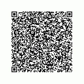 vCard 78466729231