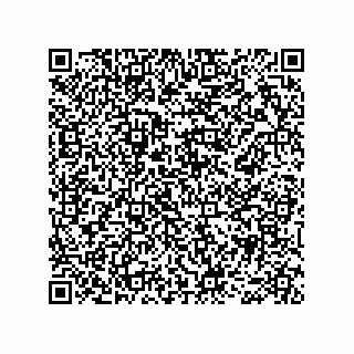vCard 78466729253