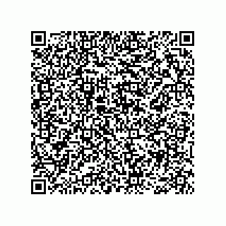 vCard 78466729271