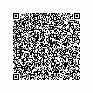 vCard 78466729299