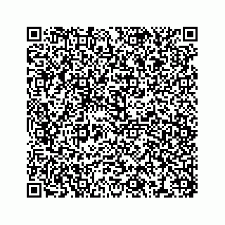 vCard 78473199331