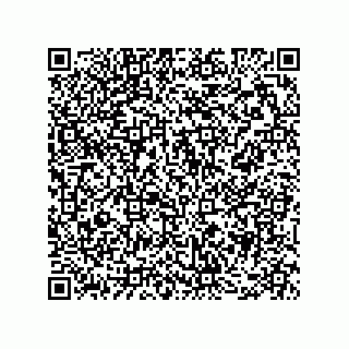 vCard 78482200137