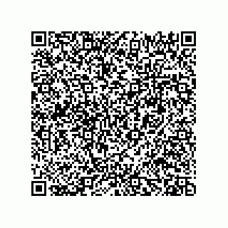 vCard 78482201740