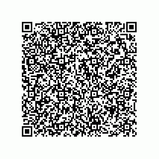 vCard 78482300001