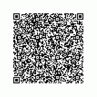 vCard 78482300009